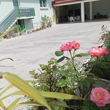 Gorizia Vacanze Appartamento In Villa Con Parcheggio Exterior photo